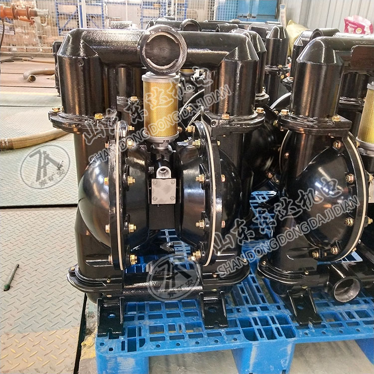 BQG125/0.45气动隔膜泵